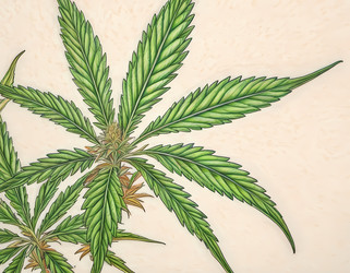 Similar image 22591245