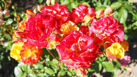 Similar image 22579570