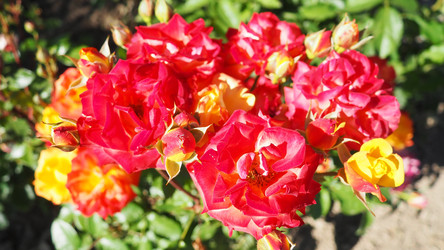 Similar image 22579690