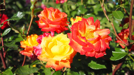 Similar image 22579808