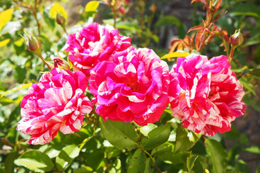 Similar image 22579613