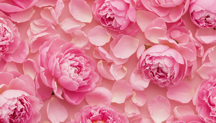 Similar image 22479701