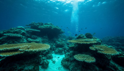 Similar image 22479777