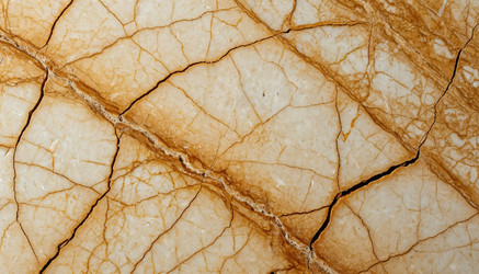 Similar image 22479760