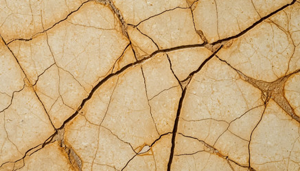 Similar image 22479778