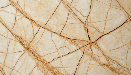 Similar image 22479824