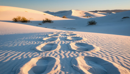 Similar image 22480258