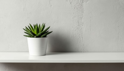 Similar image 22479505