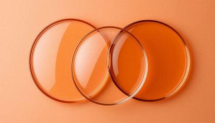 Similar image 22479566