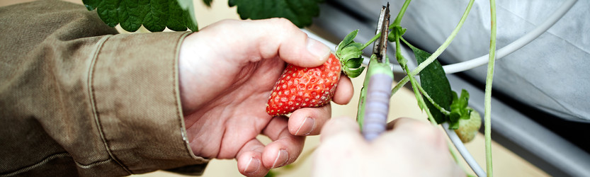 Similar image 22527892