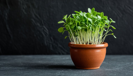 Similar image 22478968