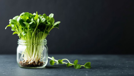 Similar image 22479028