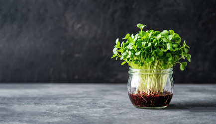 Similar image 22479054