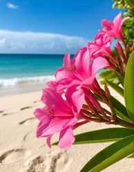 Similar image 22480260