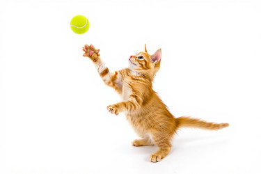 Similar image 22478954