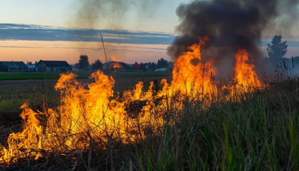 Similar image 22479868