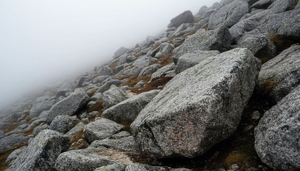 Similar image 22479058