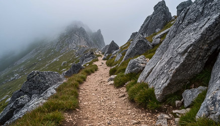 Similar image 22479077