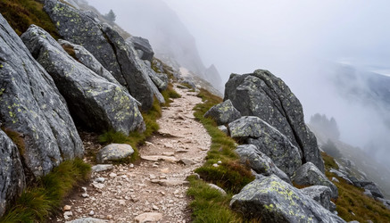 Similar image 22479123