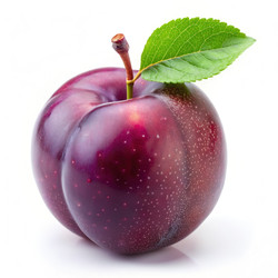 Similar image 22487015