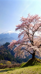 Similar image 22487210