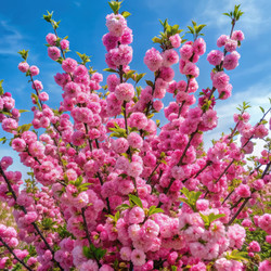 Similar image 22491488