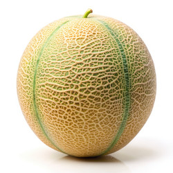 Similar image 22487017