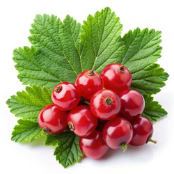 Similar image 22486838