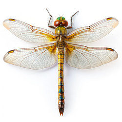 Similar image 22487962