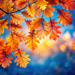 Similar image 22491492