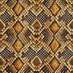 Similar image 22491567