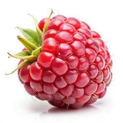 Similar image 22491835