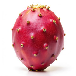 Similar image 22487301