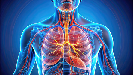 Similar image 22488039