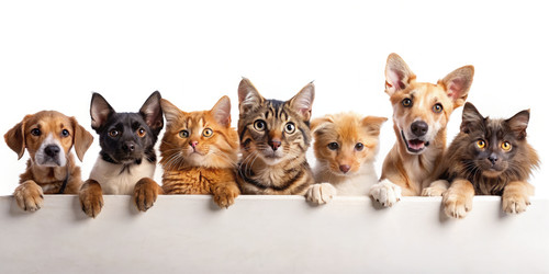 Similar image 22491511