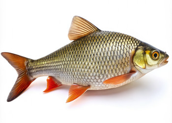 Similar image 22491585