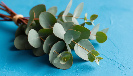 Similar image 22479343