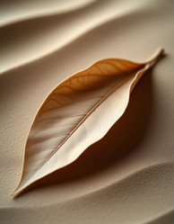 Similar image 22479212