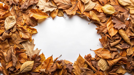 Similar image 22486780