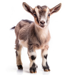 Similar image 22487004