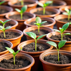 Similar image 22486781