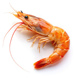 Similar image 22491570