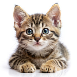 Similar image 22487096