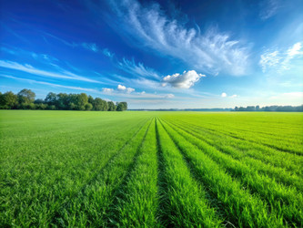 Similar image 22486976