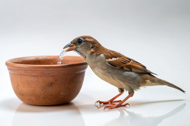 Similar image 22486842