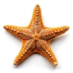 Similar image 22487393