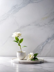 Similar image 22487557