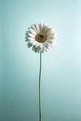 Similar image 22490664