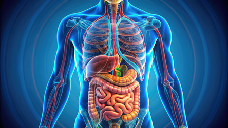 Similar image 22487411