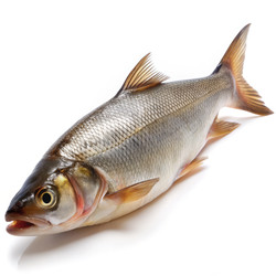 Similar image 22487678